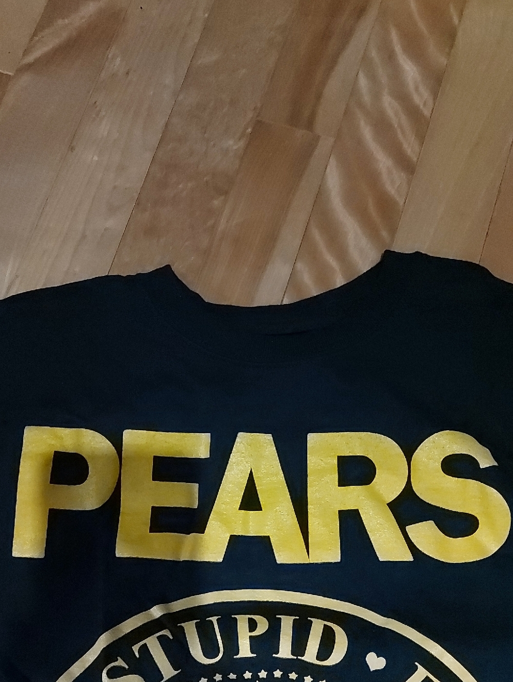 Band Shirt | PEARS - Mens Small